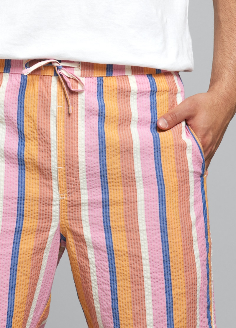 multi-color striped Vejle shorts by Dedicated brand