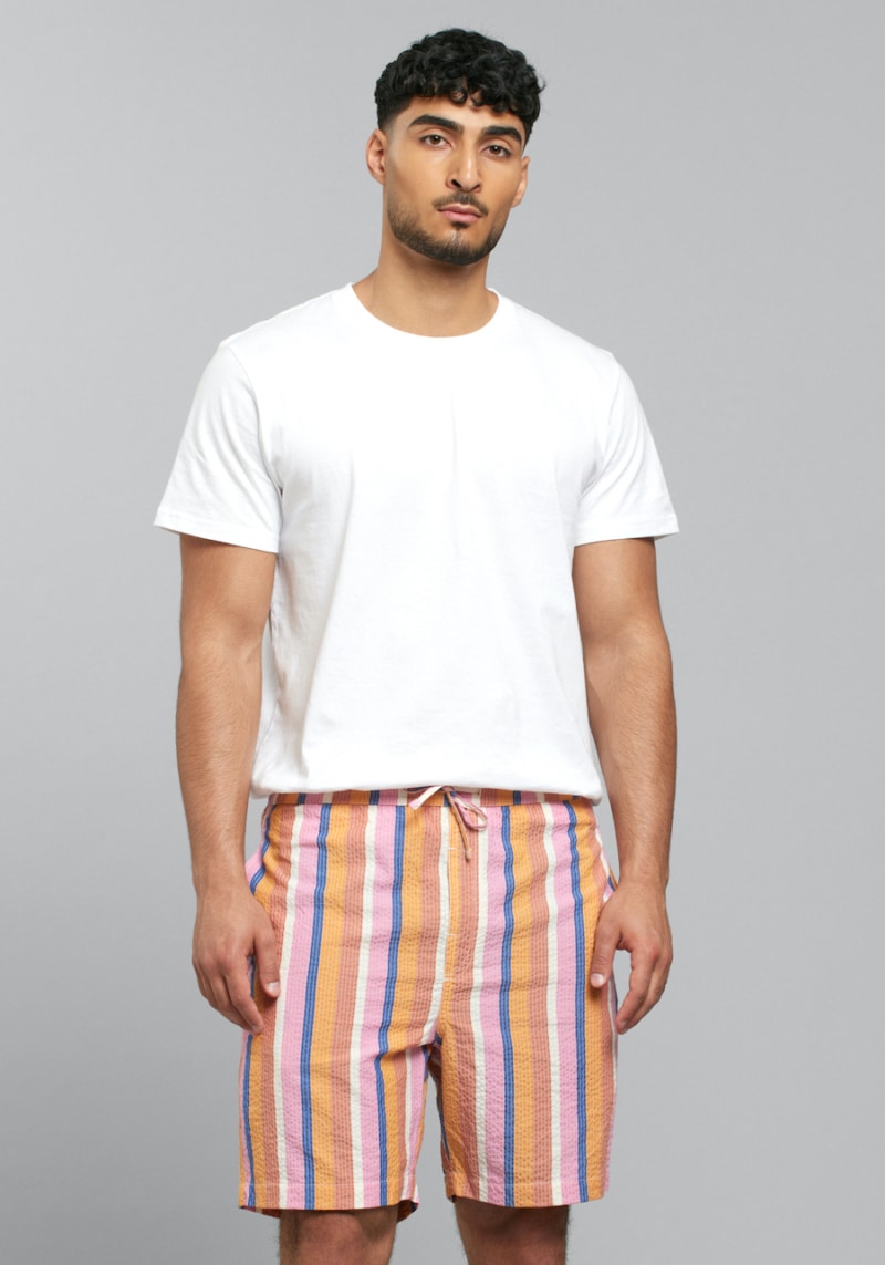 multi-color striped Vejle shorts by Dedicated brand